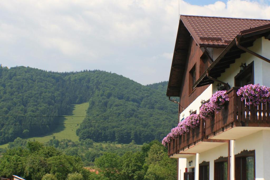 Serena Guesthouse Bran Bran  Exterior photo